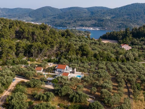 Villa Barbara - Olive Paradise, with chlorine-free pool Villa in Dubrovnik-Neretva County