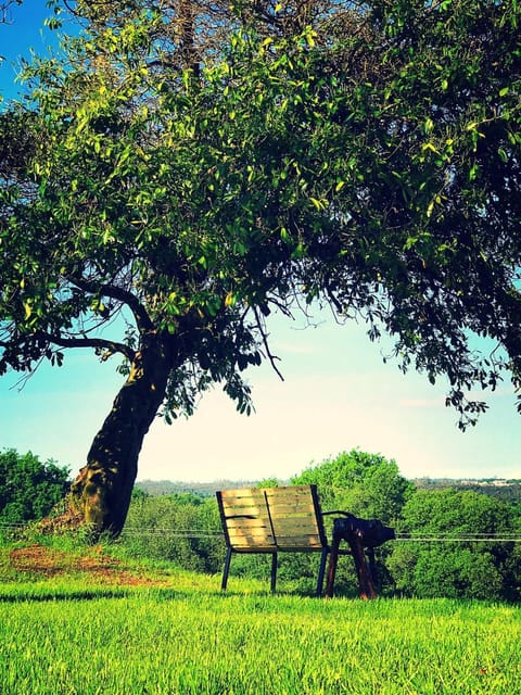 Natural landscape, Garden