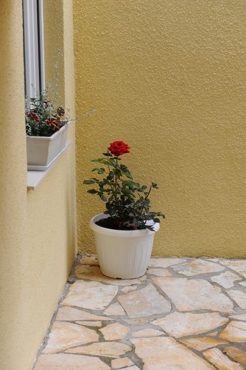 Apartmani Ivišić Apartment in Šibenik-Knin County, Croatia