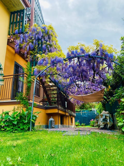 Property building, Garden, Garden, Garden view