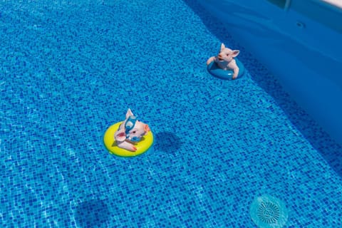 Day, Swimming pool, Swimming pool