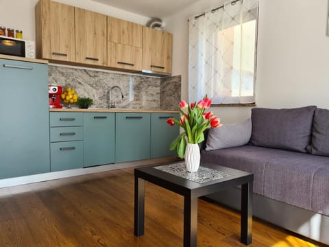 Kitchen or kitchenette, Living room, kitchen