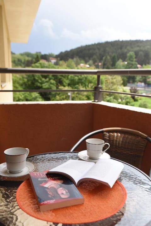 Apartman Kaja Apartment in Serbia