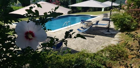 Swimming pool, sunbed