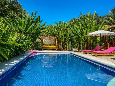 Garden, Swimming pool, Swimming pool