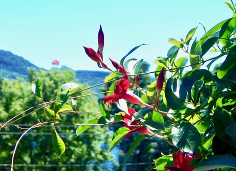 Inn on The Hill Hotel in Queensbury