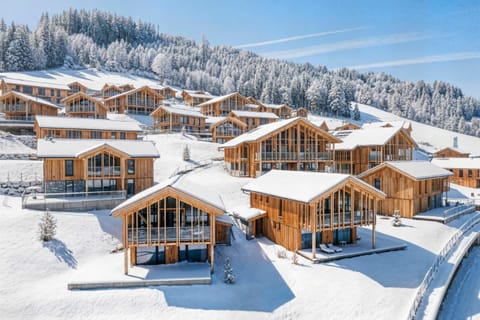 Bergresort Hauser Kaibling by ALPS RESORTS Apartment in Schladming