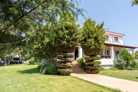 Beautiful Summer Villa in Chalkoutsi Villa in East Attica Regional Unit, Greece