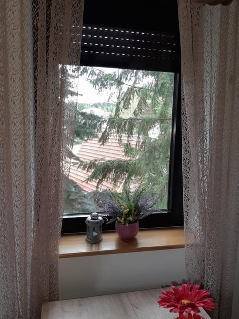 Apartman Nana Svetogorska 19 ,stan 17 Apartment hotel in Zlatibor