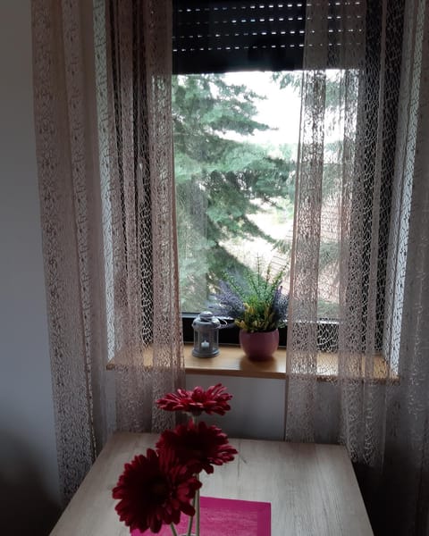 Apartman Nana Svetogorska 19 ,stan 17 Apartment hotel in Zlatibor