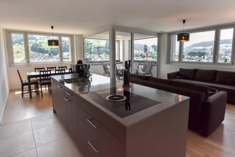 Dream View Apt With Homecinema Netflix & Loggia Apartment in Lucerne