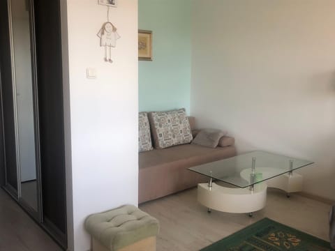 Przytulne mieszkanie Apartment in Gdansk