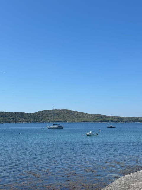 Racecourse Lodge Apartment Apartment in Clifden