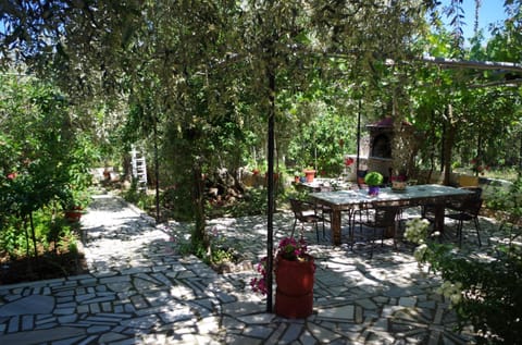 Day, Garden, Dining area