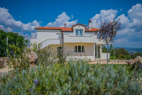 Spacius Villa, Heated Pool, near Makarska and Split Villa in Split-Dalmatia County