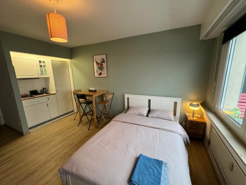 Bed, Kitchen or kitchenette, Living room, Photo of the whole room, Seating area, Dining area, Bedroom, minibar, oven, towels