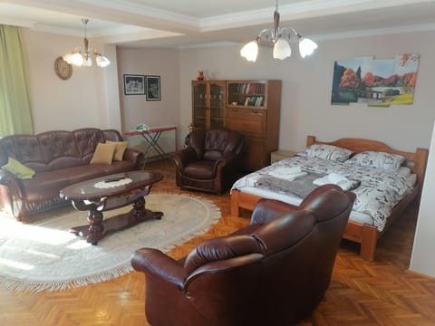 Apartman Solomonovic Apartment in Serbia