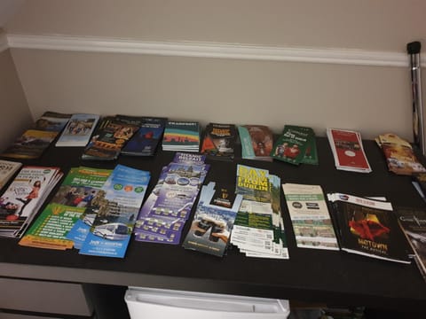 Double bedroom studios Bed and Breakfast in Dublin