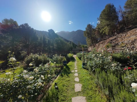 Garden view, Mountain view