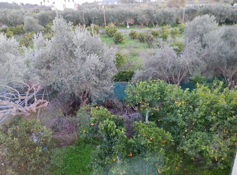 Orange Tree Garden vacation home Villa in Crete