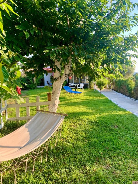 Natural landscape, Garden, Balcony/Terrace