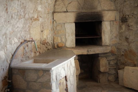 Patio, BBQ facilities, Garden, Lobby or reception