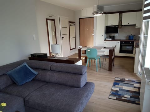 Kitchen or kitchenette, Living room, Seating area, pet friendly, stove
