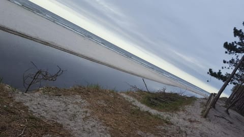 Amber Playa Nature lodge in Pomeranian Voivodeship