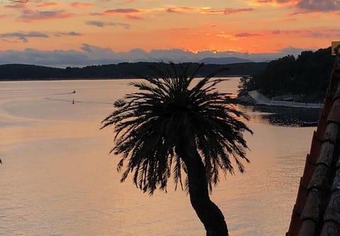 Azamara old town Residence Apartment in Hvar