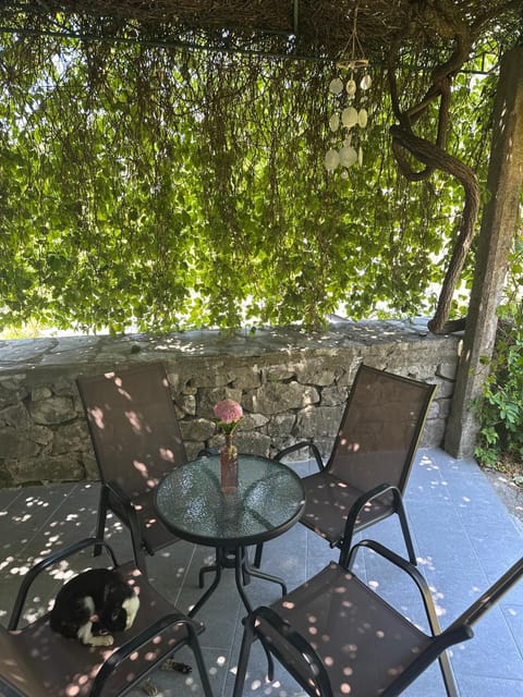 Etno village Mihailovic House in Kotor Municipality