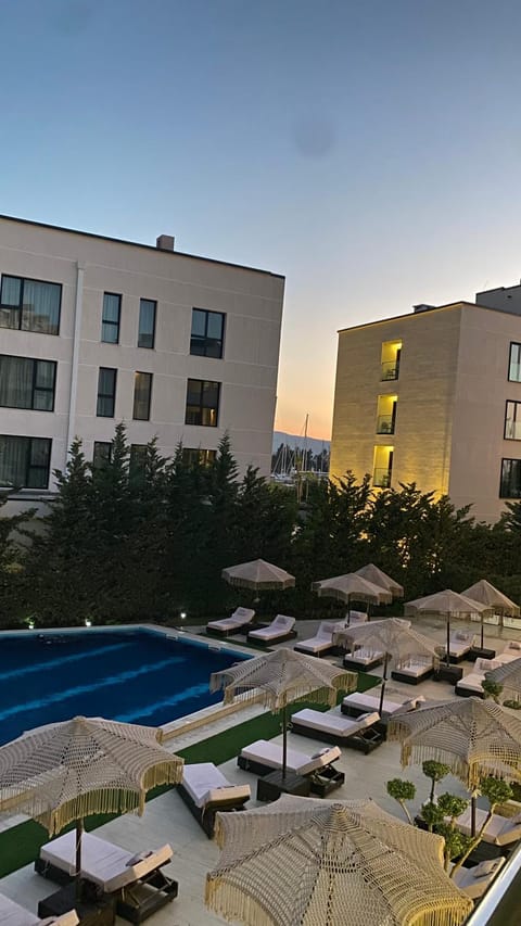Property view