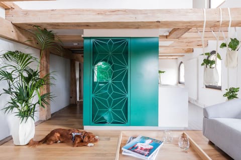 Bathroom, Kitchen or kitchenette, Living room, Seating area, Dining area, Pets