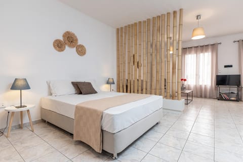 Optasia - Naxos Center Apartment Apartment in Naxos