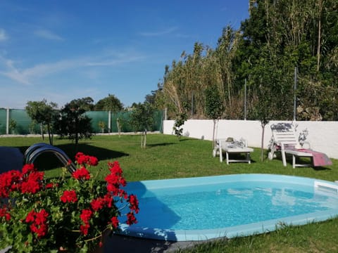 Garden, Swimming pool