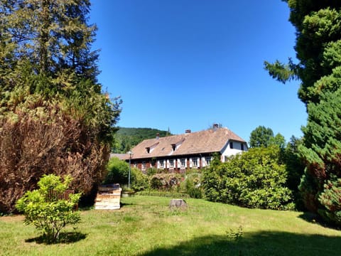 Property building, Day, Garden