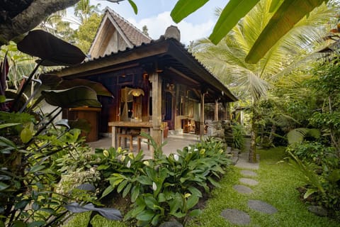 Property building, Day, Garden