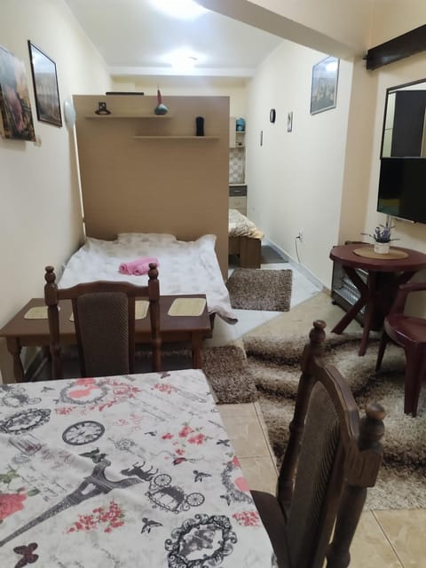 TREF 1 Apartment in Serbia