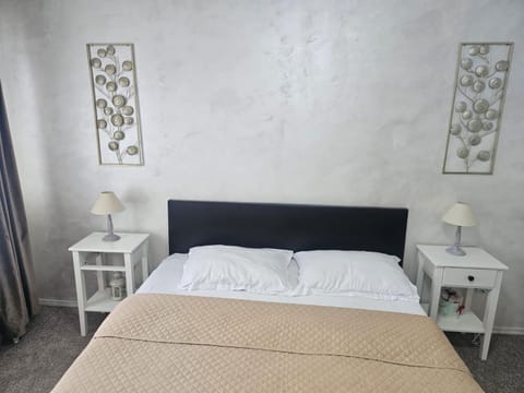 Nicolae Romanescu Park Apartment in Craiova