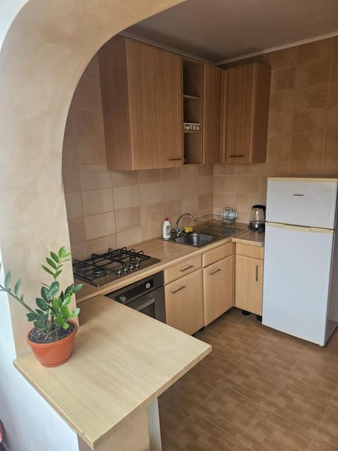 Nicolae Romanescu Park Apartment in Craiova