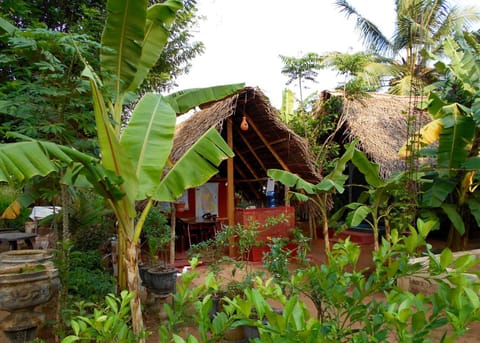 Property building, Garden, Sauna
