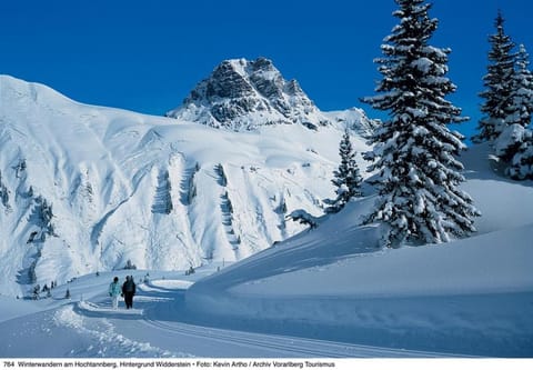Widderstein Apartments Apartment in Vorarlberg, Austria