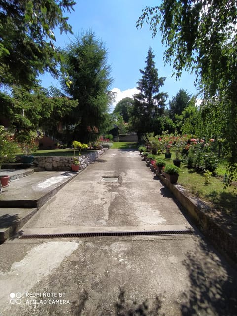 Inner courtyard view