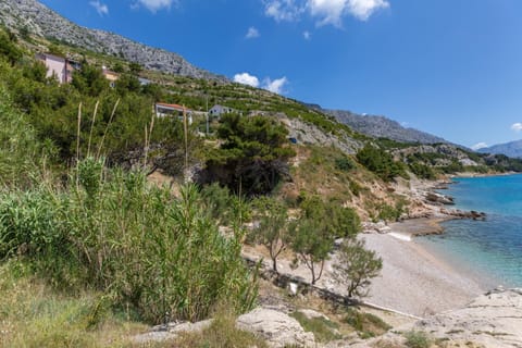 Natural landscape, Beach