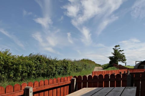 Aunt Rachel's Cottage Apartment in Northern Ireland