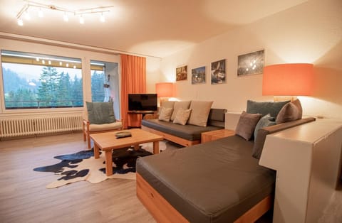 Living room, Mountain view