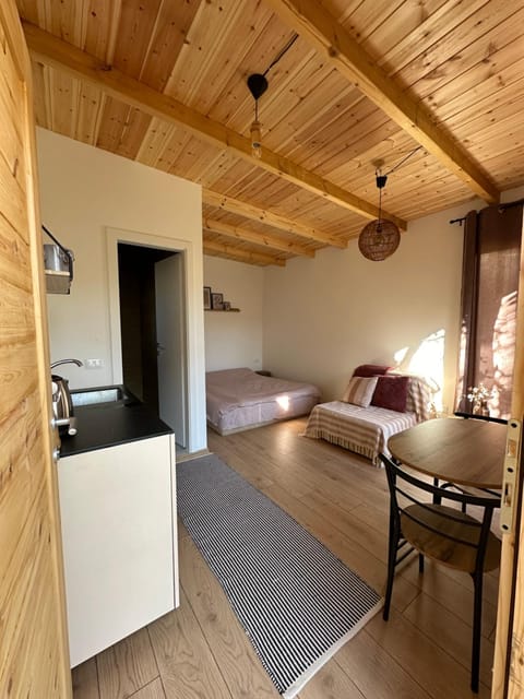 Bed, Kitchen or kitchenette, Living room, Photo of the whole room, Seating area, Bedroom