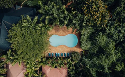 Swimming pool, Swimming pool