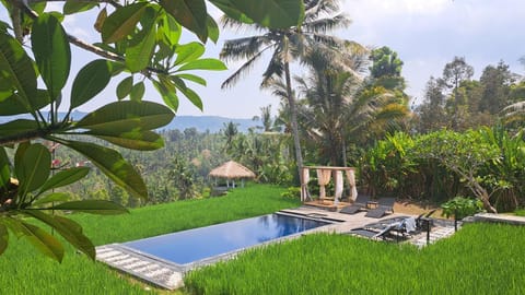 Natural landscape, Garden, Garden view, Pool view, Swimming pool