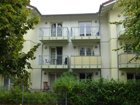 Meernahe Ferienwohnung direkt am Rhododendronpark Apartment in Graal-Müritz