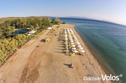 Bird's eye view, Beach